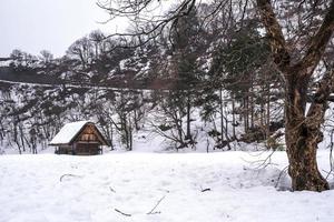 as aldeias de shirakawago e gokayama são um dos patrimônios mundiais da unesco do japão. casa de fazenda na aldeia e montanha atrás. foto