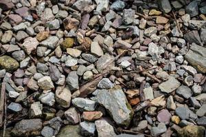várias imagens de pedras no chão