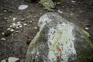 uma grande imagem de pedra na floresta foto