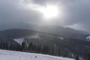 abeto floresta de montanha coberta de neve. foto