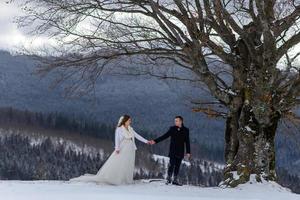 o noivo leva sua noiva pela mão para uma velha faia solitária. casamento de inverno. lugar para um logotipo. foto