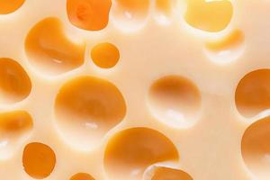 textura de queijo maasdam, tiro macro foto