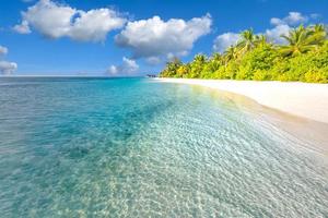 praia de natureza incrível com palmeiras e céu temperamental. conceito de fundo de férias de viagem de férias de verão. praia paradisíaca das maldivas. conceito de fundo de férias de verão de viagens de luxo. foto