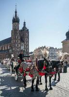 cracóvia, polônia, 2014. carruagem e cavalos foto