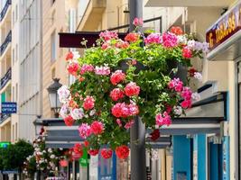 estepona, andaluzia, espanha, 2014. flores em uma rua em estepona espanha em 5 de maio de 2014 foto