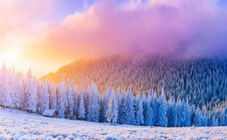 paisagem ensolarada de inverno foto