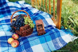 maçãs e cobertor azul na grama foto