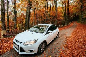 carro em um caminho na floresta foto