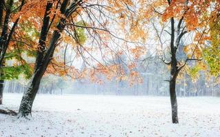 primeiros dias do inverno foto