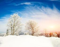 fabulosa paisagem de inverno foto