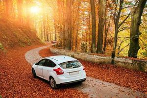 carro em um caminho na floresta foto