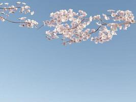 ramo de flor de cerejeira com ilustração de renderização 3d de fundo de céu azul foto