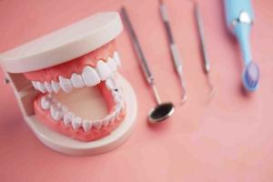 modelo de dentes dentários de plástico em fundo rosa foto