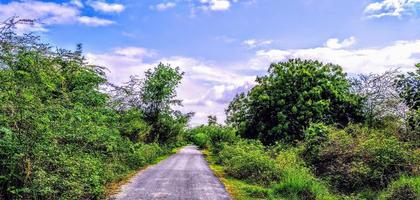 estrada rural através de campos com ervas verdes e céu azul com nuvens foto