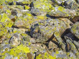 textura de pedra de rocha com musgo verde e líquen na Noruega. foto