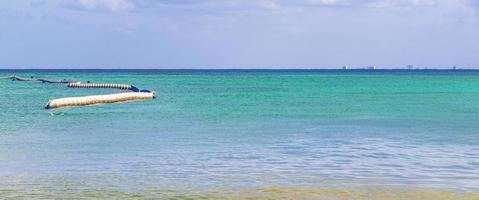 rede de algas marinhas em água turquesa playa del carmen méxico. foto