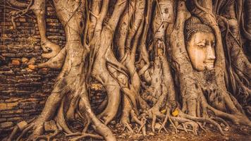 Tailândia ruínas e antiguidades no parque histórico de ayutthaya turistas de todo o mundo decadência de buda foto