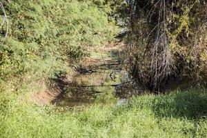 lagoa de água no campo foto