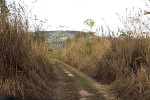 off road para viagem de montanha foto