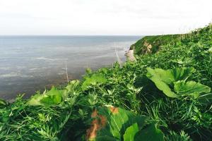 prado e farol de área ampla do cabo de notoro. cidade de abashiri, hokkaido, japão. foto