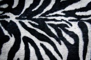 textura de tecido estampado listras zebra para plano de fundo foto