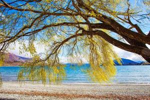 bela paisagem do lago wanaka southland nova zelândia foto