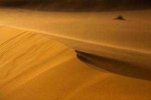 belas dunas de areia no deserto do saara em marrocos. paisagem na África no deserto. foto