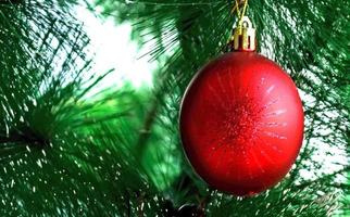 uma bola vermelha está pendurada na árvore de natal. celebração do natal e ano novo. foto