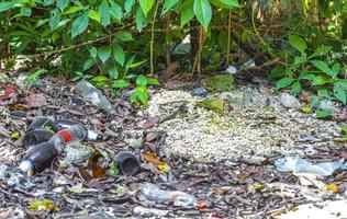 lixo lixo lixo na selva no méxico. foto