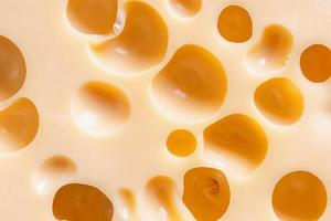 textura de queijo maasdam, tiro macro foto