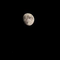 timelapse da lua, aumento da lua cheia de lapso de tempo de ações no céu escuro da natureza, noite. lapso de tempo do disco da lua cheia com luz da lua no céu escuro à noite. imagens de vídeo gratuitas de alta qualidade ou timelapse foto