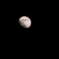 lua cheia no céu escuro durante a noite, grande super lua no céu foto