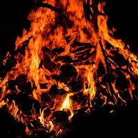 chamas de fogo em fundo preto, fundo de textura de chama de fogo de chamas, lindamente, o fogo está queimando, chamas de fogo com madeira e esterco de vaca foto