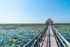 sam roi yot pântano de água doce ou parque nacional bueng bua khao sam roi yot foto