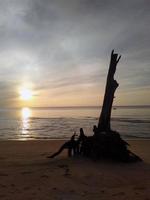 toras de madeira na praia à tarde foto