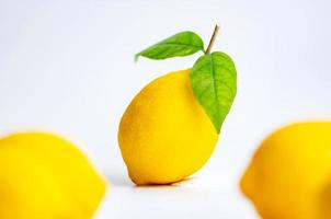 limão no fundo branco foto