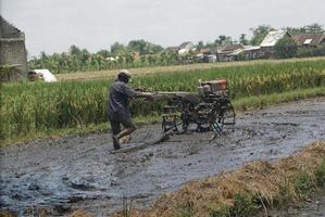 indonésia, jombang abril de 2022, um trabalhador nos campos, cultivando a terra usando uma máquina de trator foto