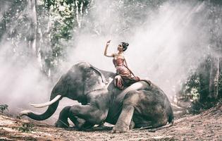 elefante com linda garota na zona rural asiática, tailândia - elefante tailandês e linda mulher com vestido tradicional na região de surin foto