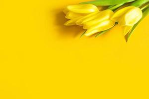 tulipas amarelas em um fundo laranja. o conceito de primavera e verão, um cartão de férias para a páscoa, dia da mulher, 8 de março, aniversário. espaço de cópia foto