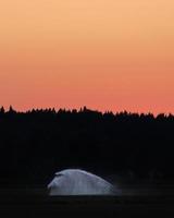 pulverização de água em um campo na noite de verão foto