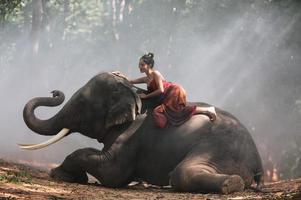 elefante com linda garota na zona rural asiática, tailândia - elefante tailandês e linda mulher com vestido tradicional na região de surin foto