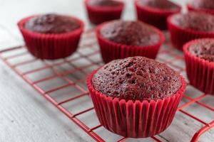 cupcakes de veludo vermelho assados na cremalheira de arame vermelho foto