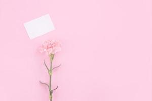 lindo, fresco e elegante buquê de flores de cravo com saudação branca obrigado cartão de presente isolado no fundo de cor rosa brilhante, vista superior, conceito plano leigo. foto