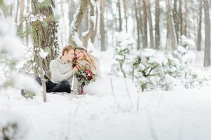 sessão de fotos de casamento de inverno na natureza