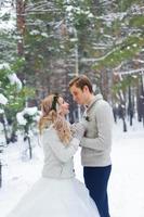 noiva e noivo estão sentados no tronco na floresta de inverno. fechar-se. cerimônia de casamento de inverno. foto