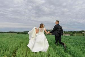 noivos em um campo de trigo. o casal se abraça durante o pôr do sol foto