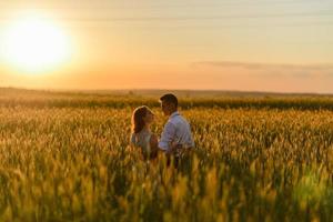 noivos em um campo de trigo. o casal se abraça durante o pôr do sol foto