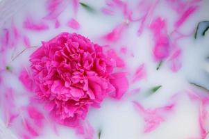 banho de bebê e flores de peônia. peônias rosa. banho infantil em fundo verde. foto