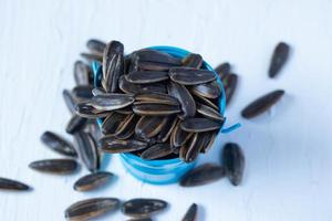 sementes de girassol torradas em um balde azul foto