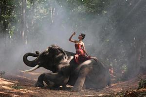zona rural da tailândia, elefante de silhueta no fundo do pôr do sol, elefante tailandês em surin tailândia. foto